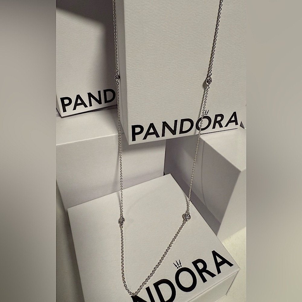 Pandora Silver Necklace